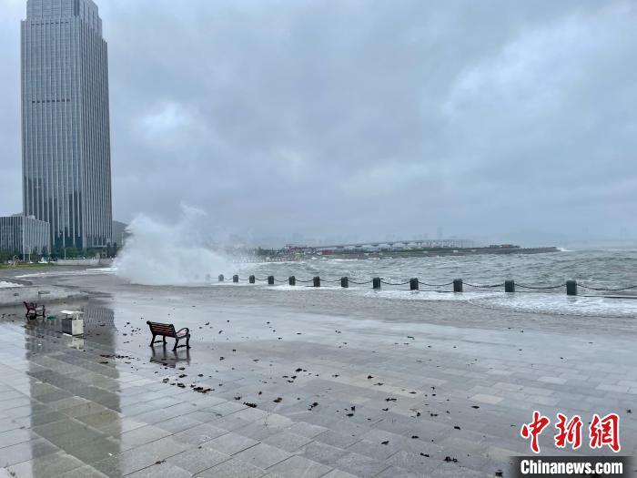 大连台风最新动态及应对挑战与影响策略