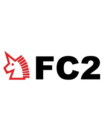 FC2最新域，前沿技术与数字世界的交汇探索