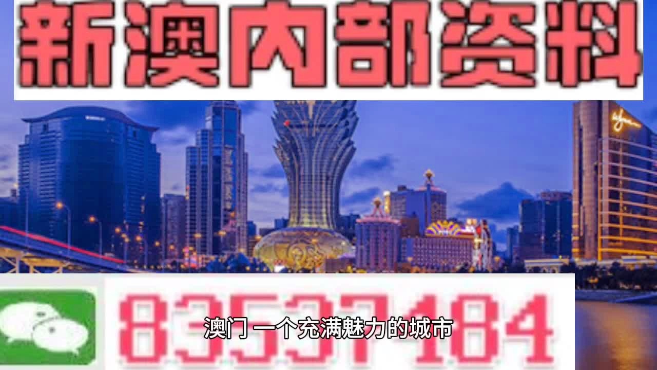 新澳门今晚精准一肖,权威解答解释定义_3K21.501