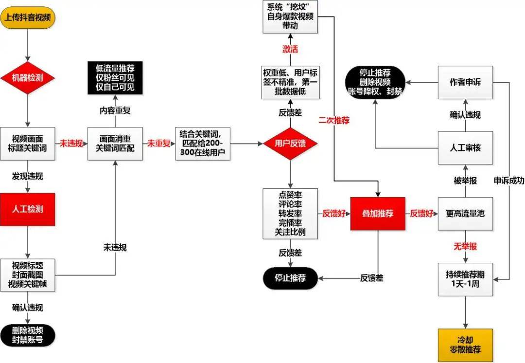 澳门一码一肖一特一中直播结果,完善的执行机制解析_轻量版2.282