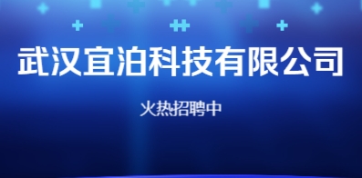 武汉最新招聘信息动态速递