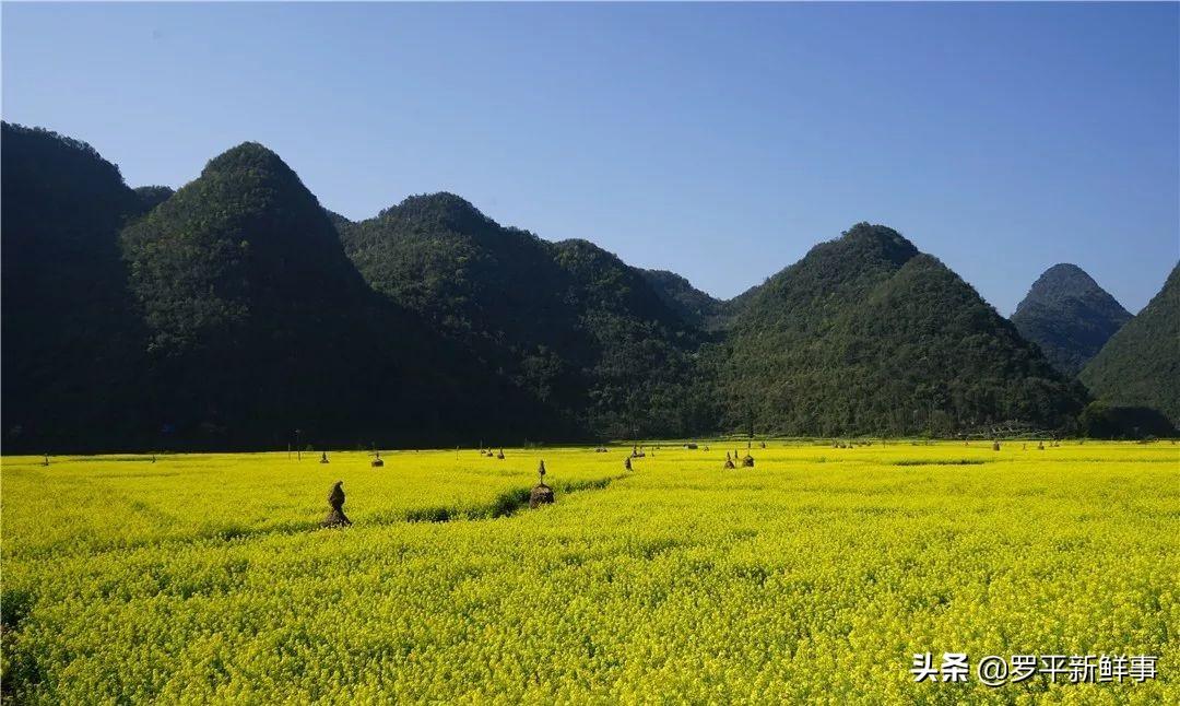 乡野韵味与情感交响，最新上传小菜花山歌