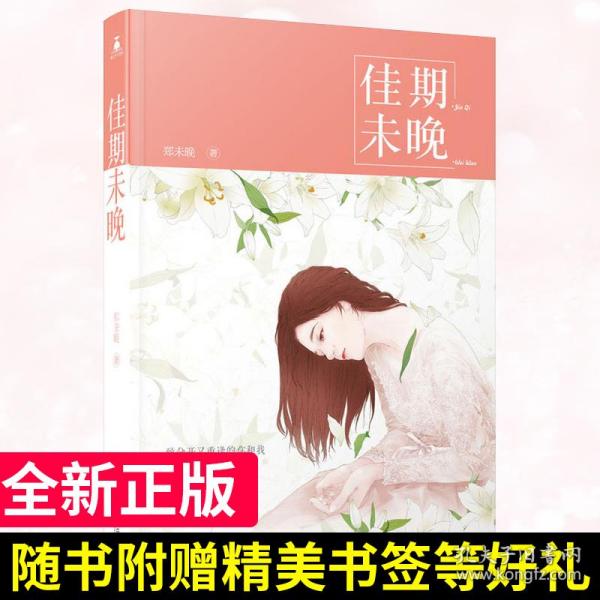 花火最新小说2017，青春激情与梦想绽放的绚烂篇章