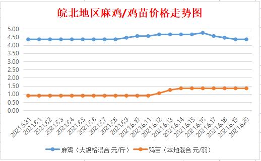 皖北麻鸡最新价格动态分析与展望