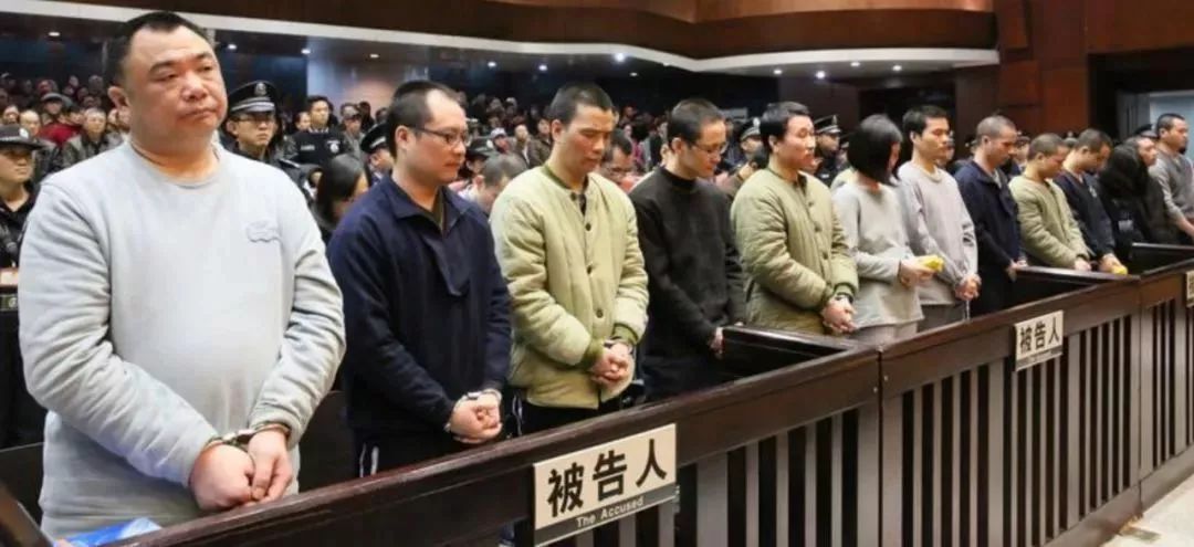 绵竹陈满被骗事件揭秘，真相背后的社会安全漏洞反思