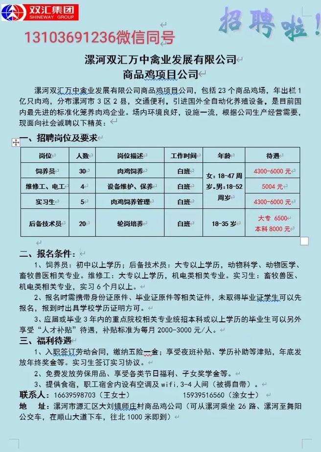 漯河会计招聘最新动态，行业趋势与职业机遇深度解析