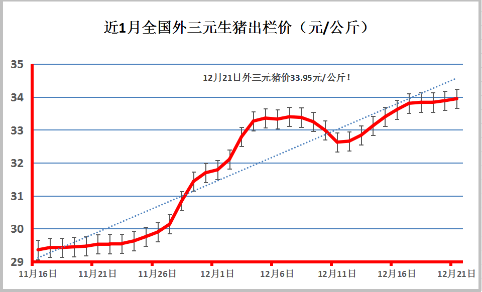 甘肃猪价今日动态，市场走势、最新消息与未来展望