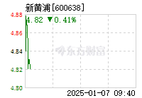 揭秘新黄浦企业最新发展动向与行业趋势，新黄浦600638最新消息解析