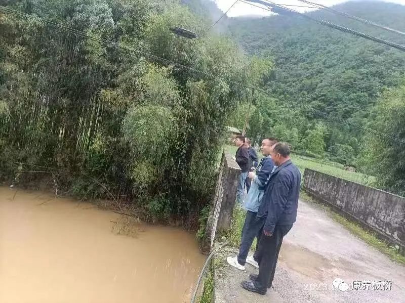 板桥郝家湾，乡村蜕变与新面貌的最新消息