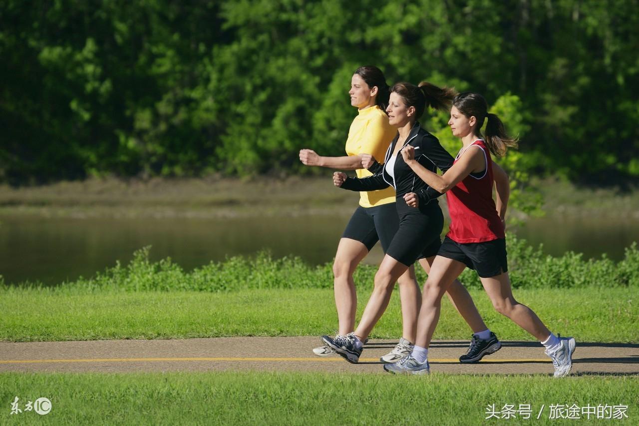 最新计步器下载，迈向健康生活的第一步