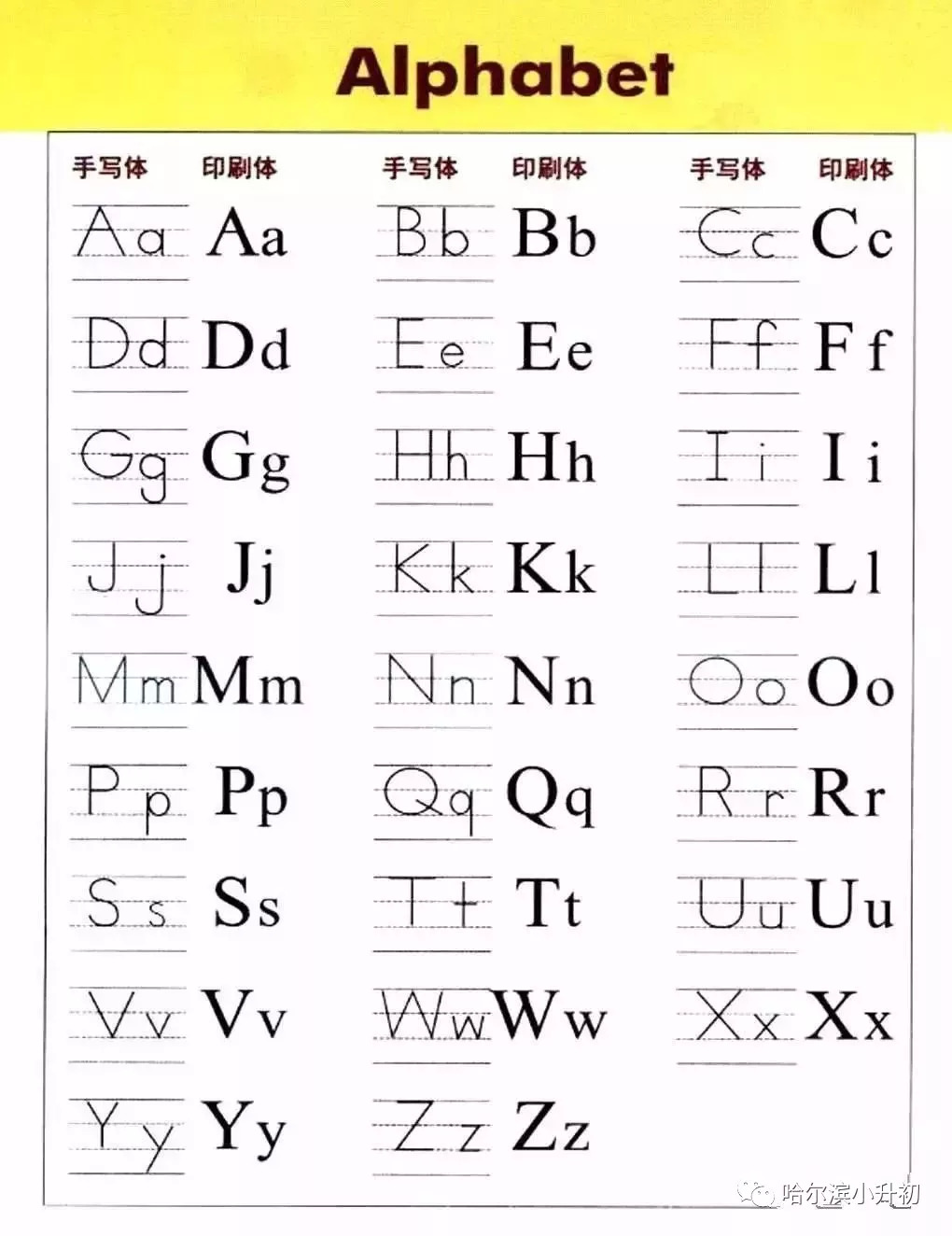 日常英语学习中的新表达及其重要性探究