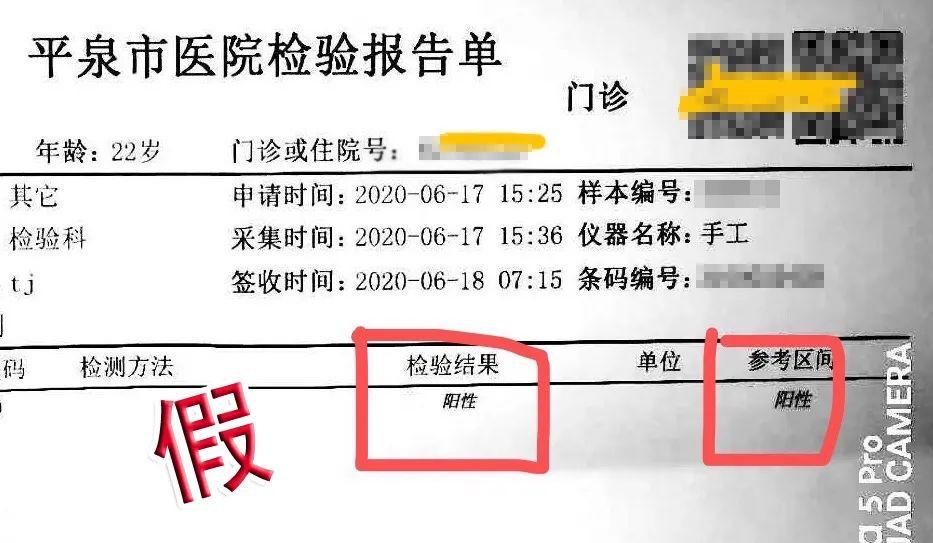 山东限号新措施，影响、原因与应对策略解析