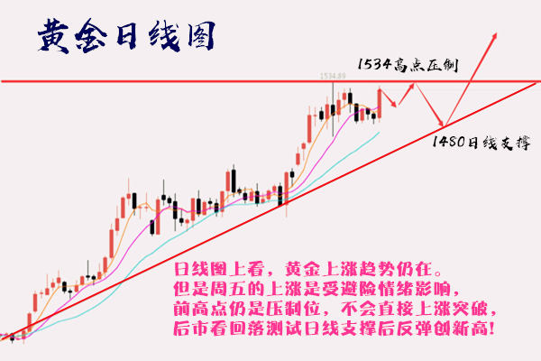 小鱼儿站玄机二站论坛，统计解答解释落实_lp531.62.45