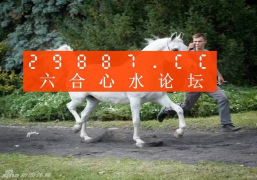 7777788888王中王跑狗图，实时解答解释落实_3137.93.09