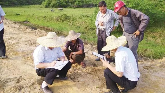 最新农村土地确权，农村发展的核心驱动力