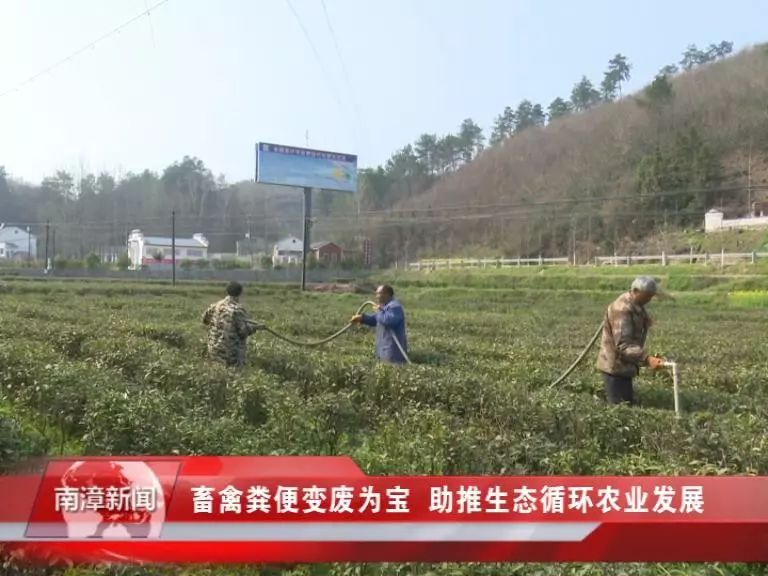 南漳县最新新闻动态报道速递