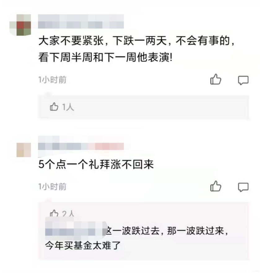 投资领域的核心关注点，最新净值与估值解析