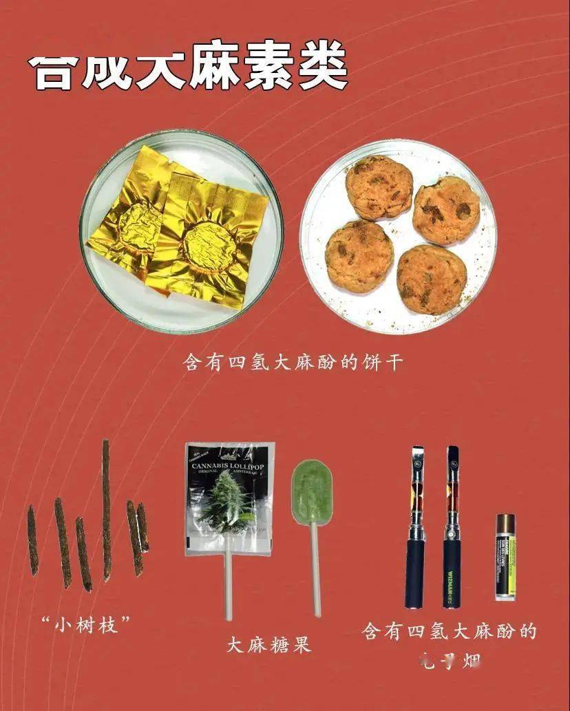 天津毒品现象现状分析与应对策略