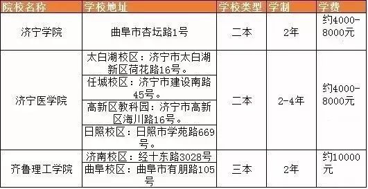 山东专升本最新动态与趋势解析