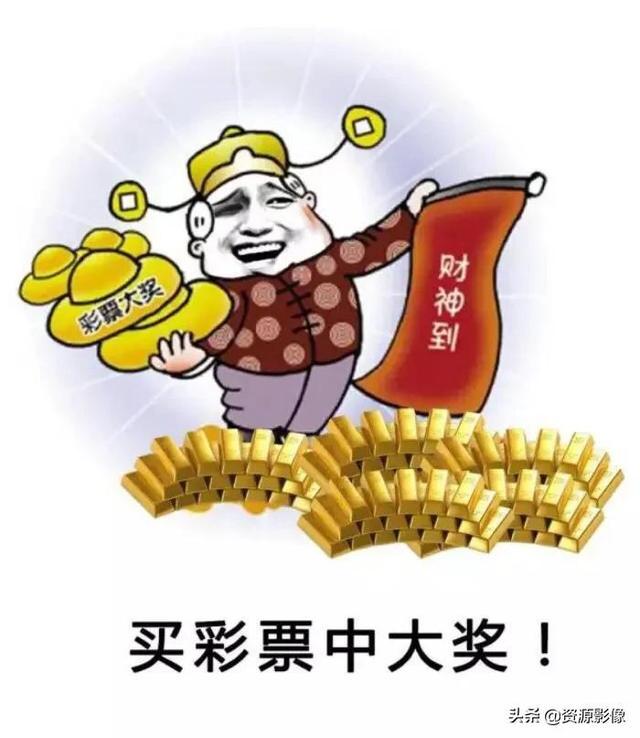 最新六合彩开奖，彩票魅力与风险的探索