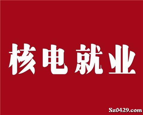 最新核电公司招聘启事，职位空缺及申请指南