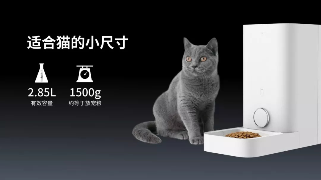 磁力猫，带你探索最新世界资讯