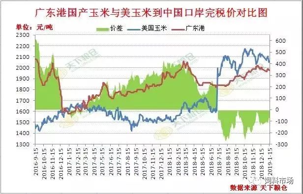 玉米市场走势最新深度解析