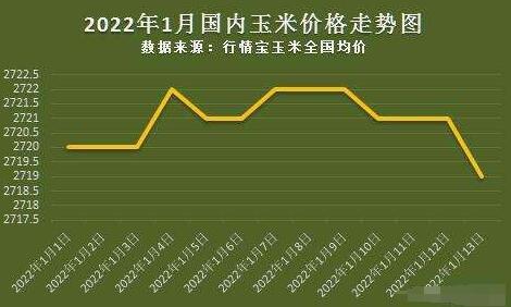 玉米粒价格最新行情解析