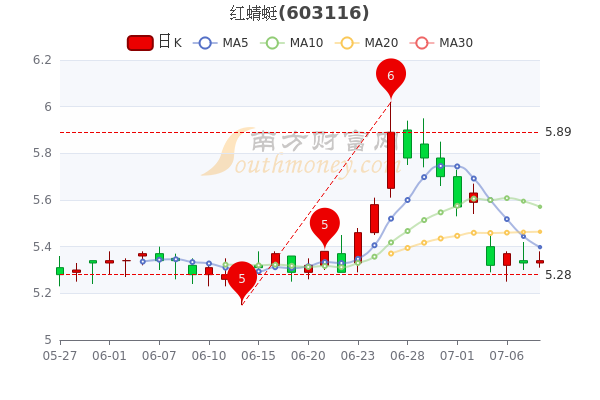 红蜻蜓股票最新消息全面深度解析