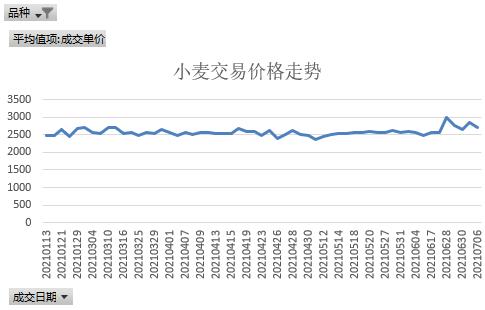 小麦行情最新动态，市场趋势及影响因素深度解析