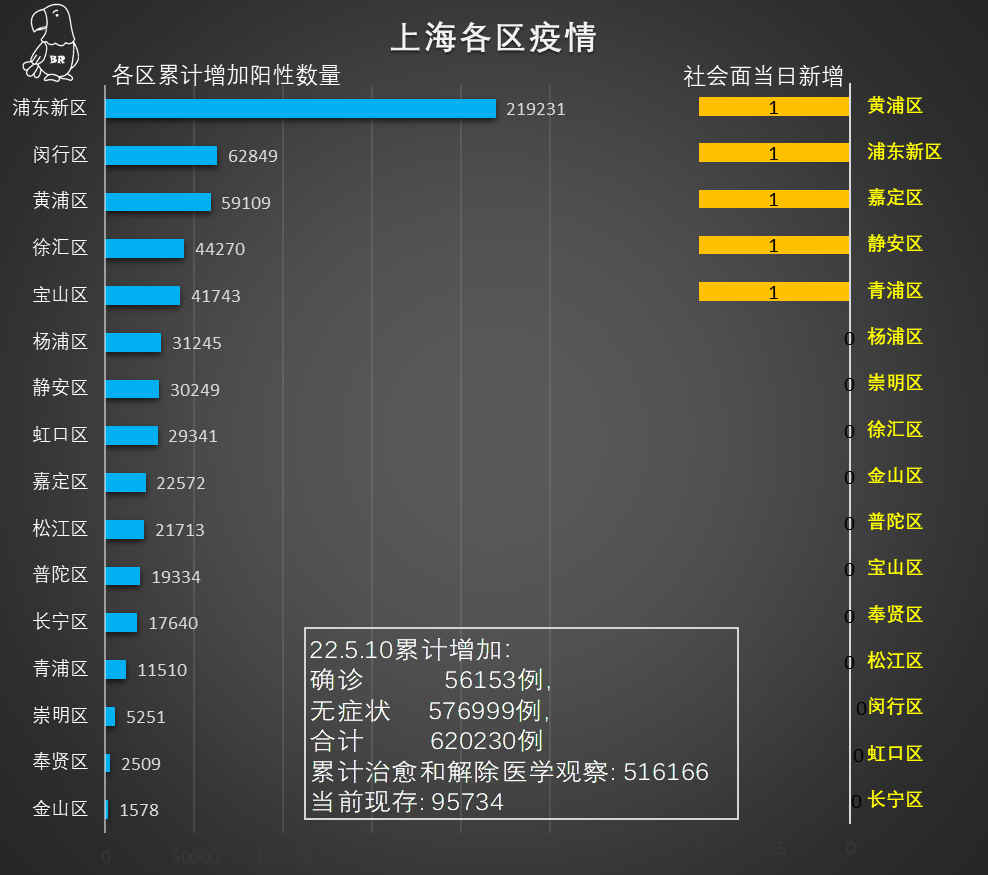 上海疫情最新动态，共筑健康防线，城市坚韧应对挑战